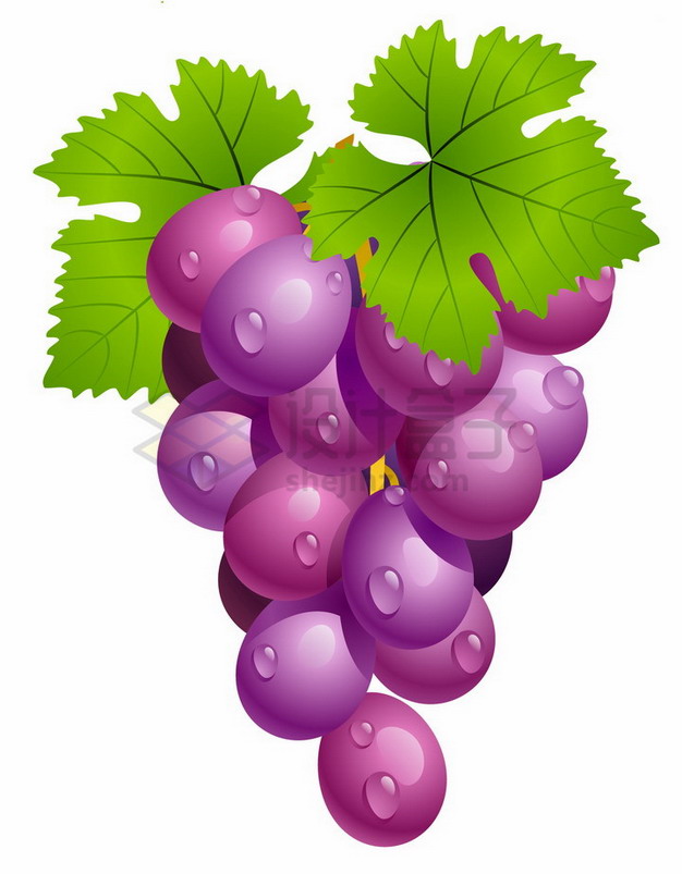 带水珠和叶子的紫色葡萄巨峰葡萄png图片素材