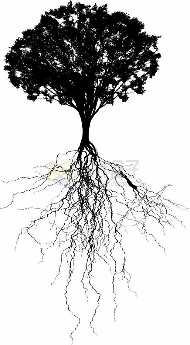 错综复杂的树根和大树剪影png免抠图片素材