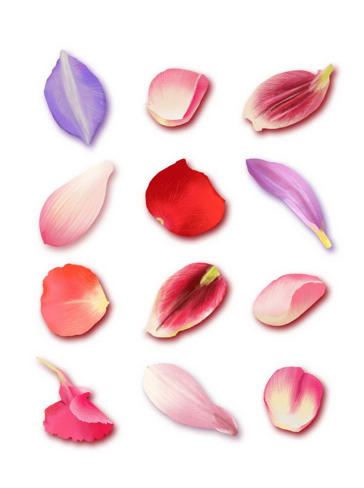 12种不同颜色和类型的花瓣图片免抠素材