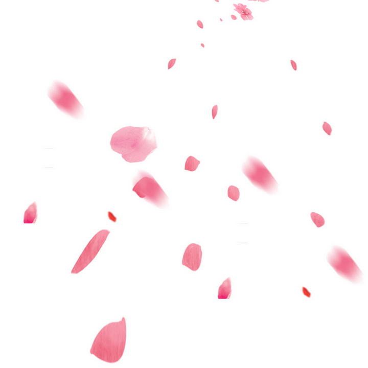 飘散的粉色花瓣装饰图片素材