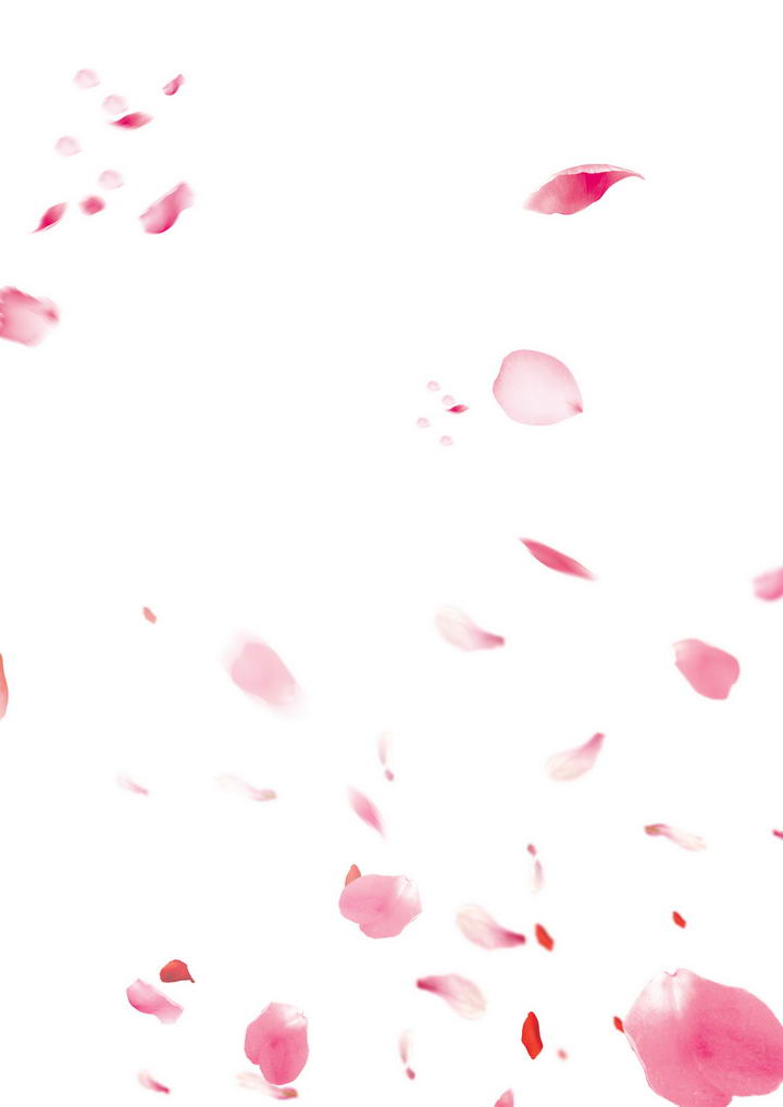 飘落零散的粉色花瓣装饰素材
