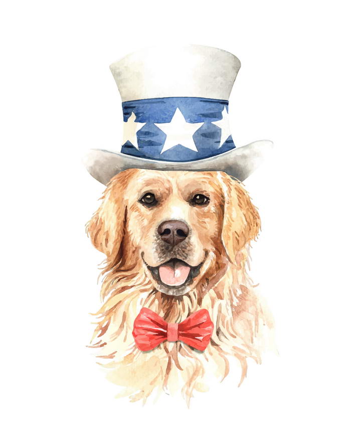 彩色手绘油画风格戴帽子的金毛宠物狗图片免抠素材