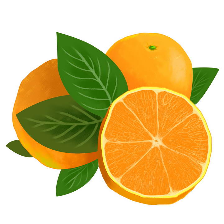 水彩画风格切开的橙子橘子水果图片免抠素材