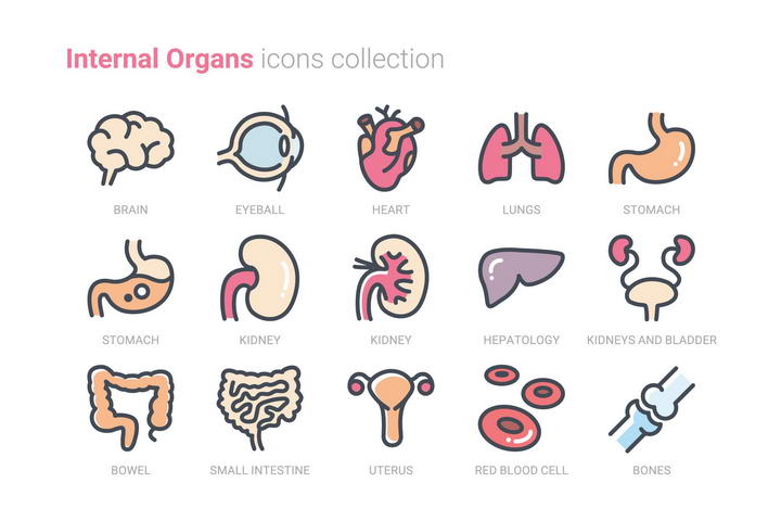 15款医疗医学人体器官组织高光图标icon图片免抠素材