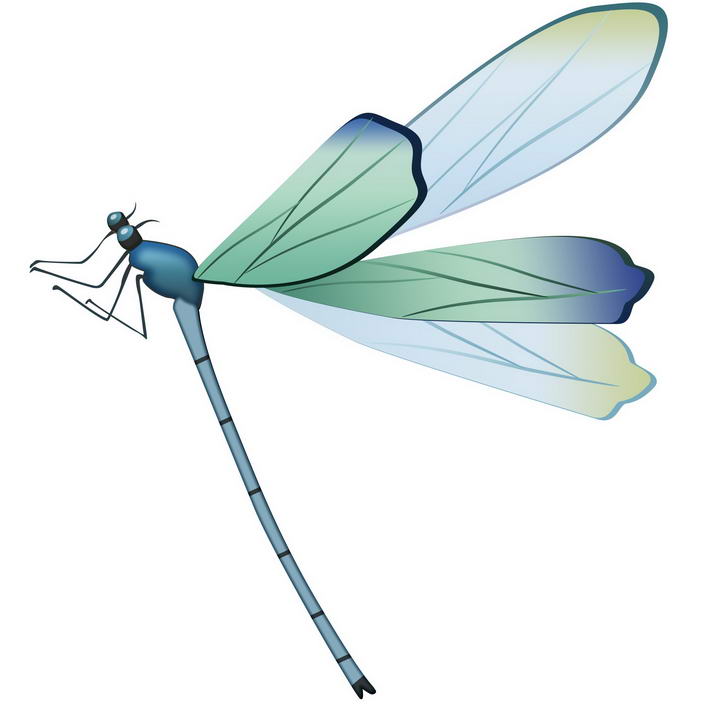 手绘风格蜻蜓昆虫图片免抠素材