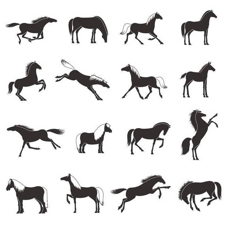 16款黑白色风格的马匹万马奔腾图片免扣素材