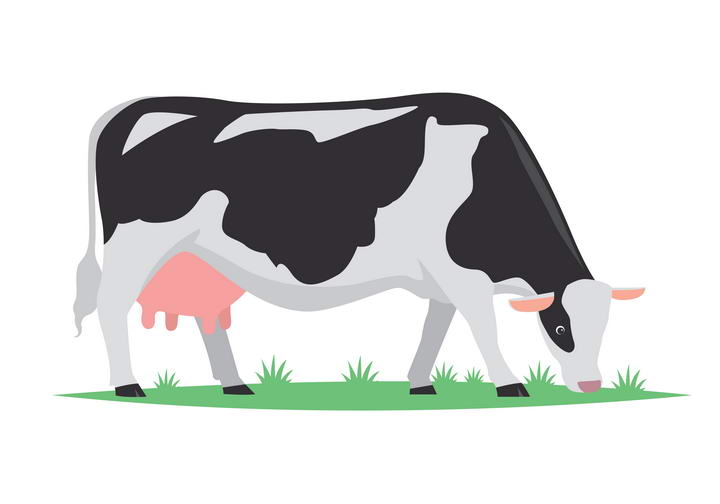 手绘风格正在吃草的奶牛家畜牲畜图片免抠素材