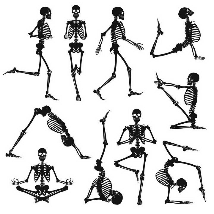 10款正在做运动瑜伽的人体骨骼结构解剖图骷髅图片免抠素材