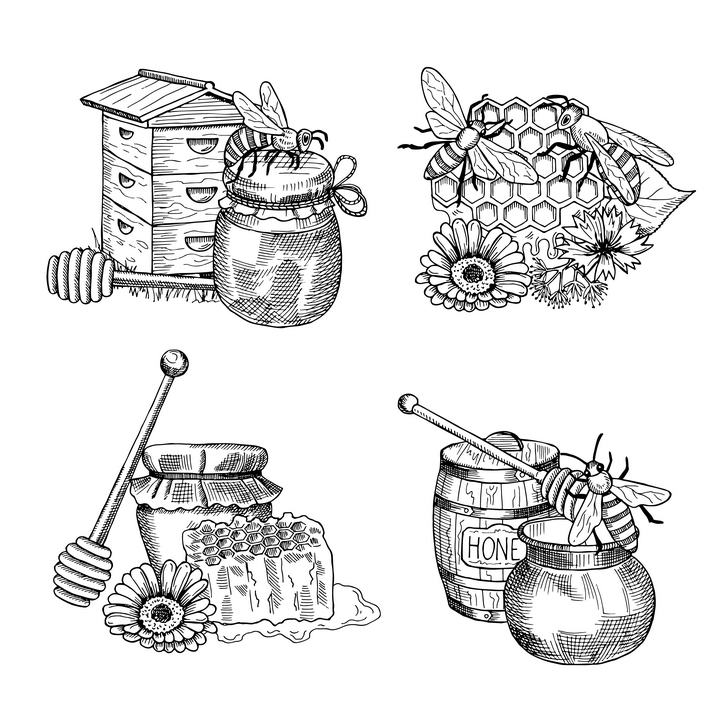 4款黑色素描风格的蜂蜜蜂巢蜜蜂蜂巢蜜免抠矢量图片素材