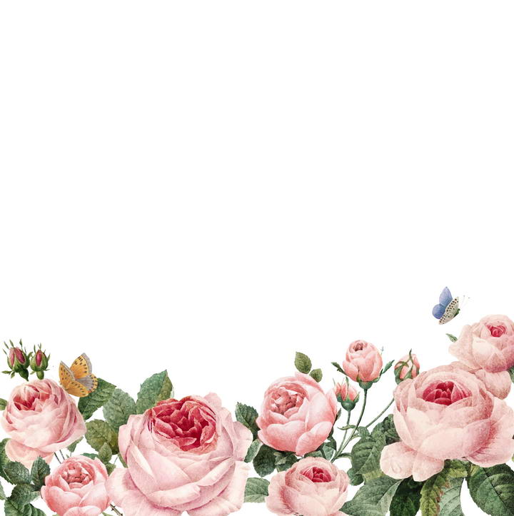 粉色牡丹花花丛装饰图片免抠素材
