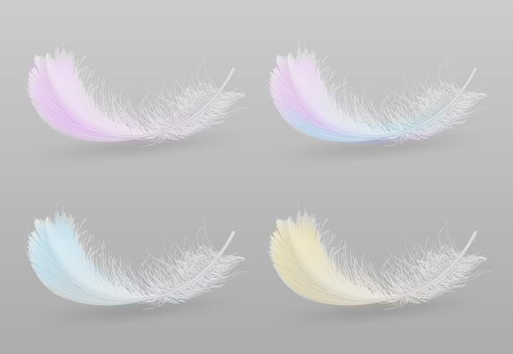 四款彩色风格的精细羽毛图片免抠素材