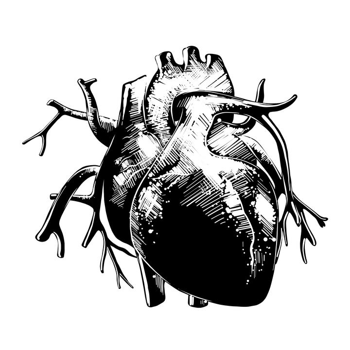 手绘黑白色风格人体器官心脏图片免抠素材