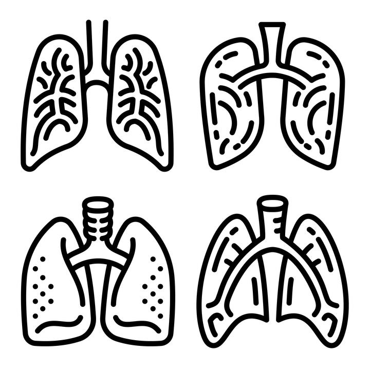 人体肺部简笔画图片
