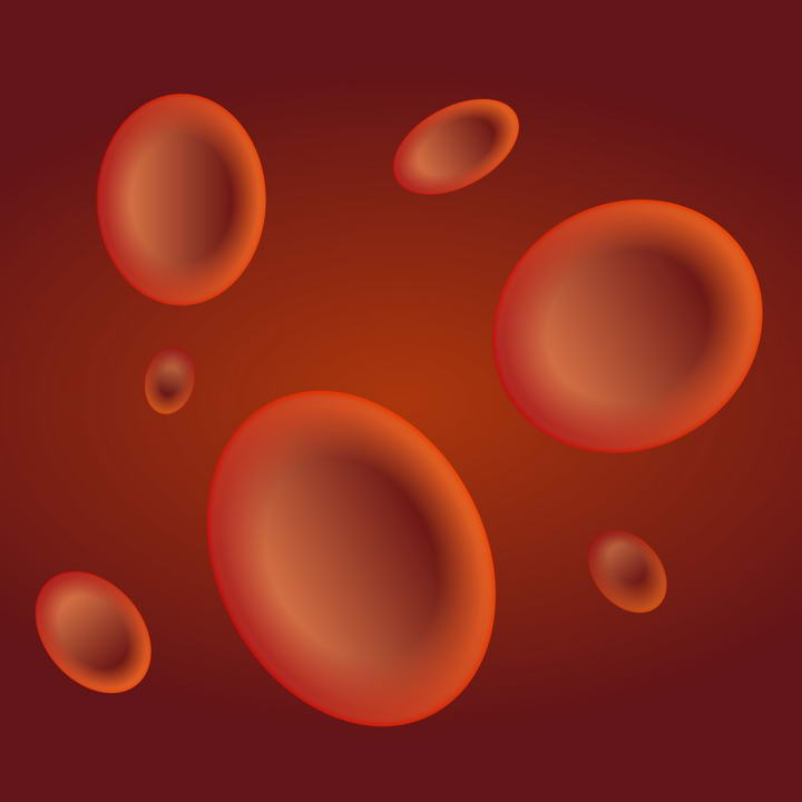 血管中的红细胞人体组织器官免扣图片素材