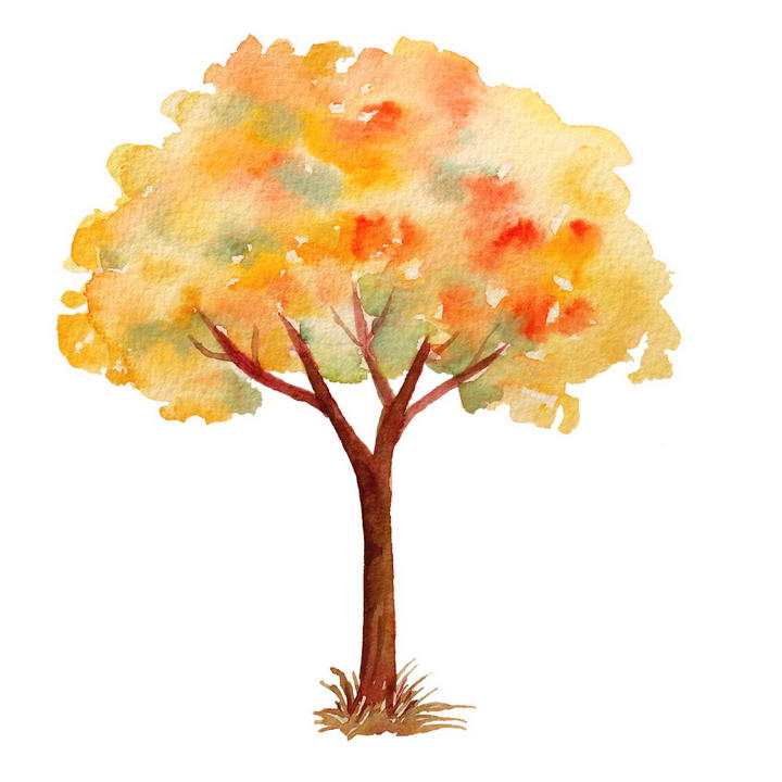 水彩画油画风格秋天发黄的树木免抠PNG图片素材