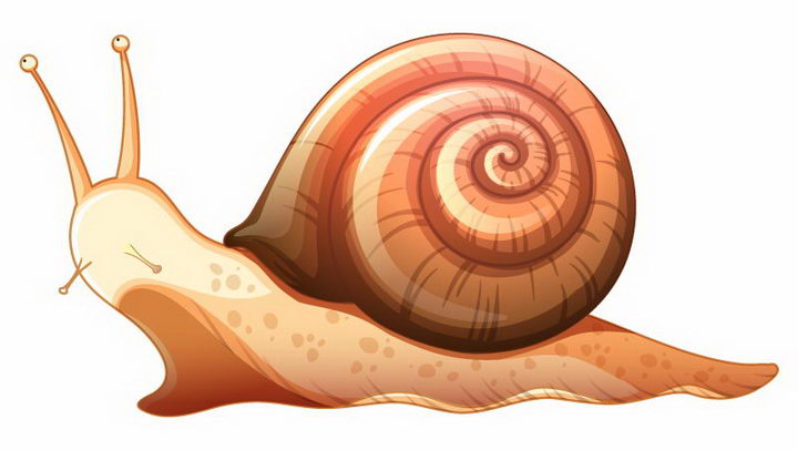 一只褐色的蜗牛小动物免抠png图片矢量图素材