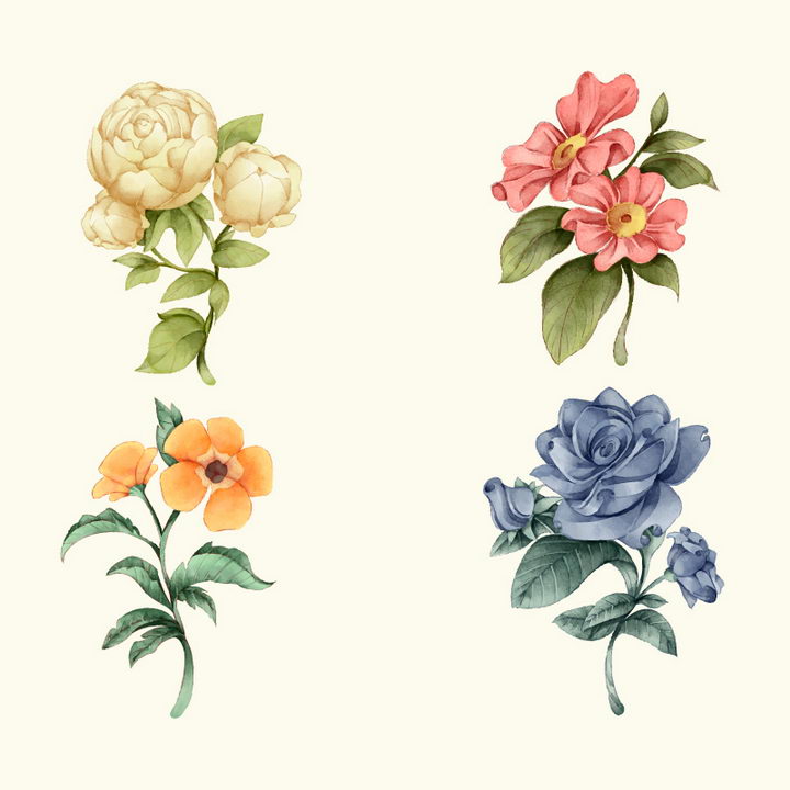 4种不同品种的花卉花朵鲜花图片免抠矢量图