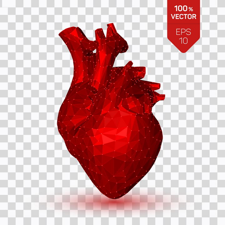 创意点线红色三角形组成的心脏人体组织器官图片免抠素材 健康医疗-第1张