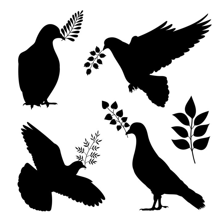 四种和平鸽衔着橄榄枝剪影图片免抠素材