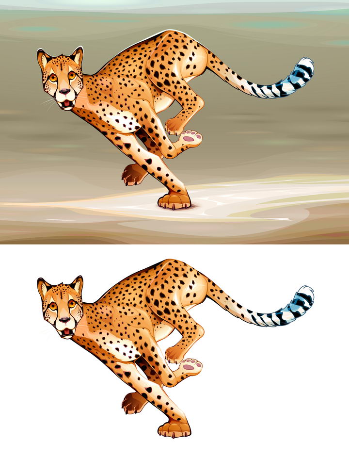 搞笑的飞奔中的猎豹野生动物图片免抠素材