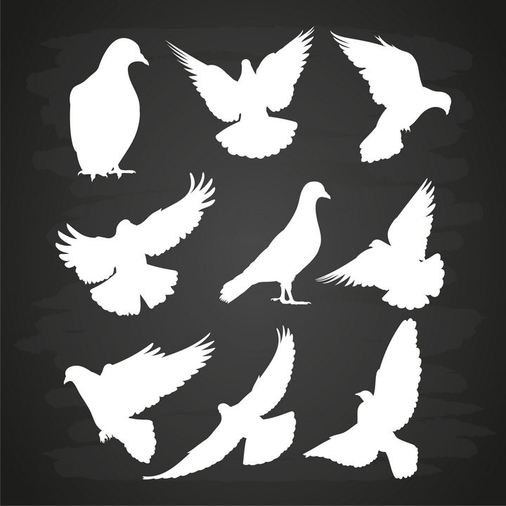 9种雪白的和平鸽剪影图片免抠素材