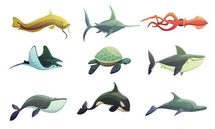9款旗鱼乌贼蝠鲼海龟鲨鱼鲸鱼海豚虎鲸等海洋生物图片免抠素材