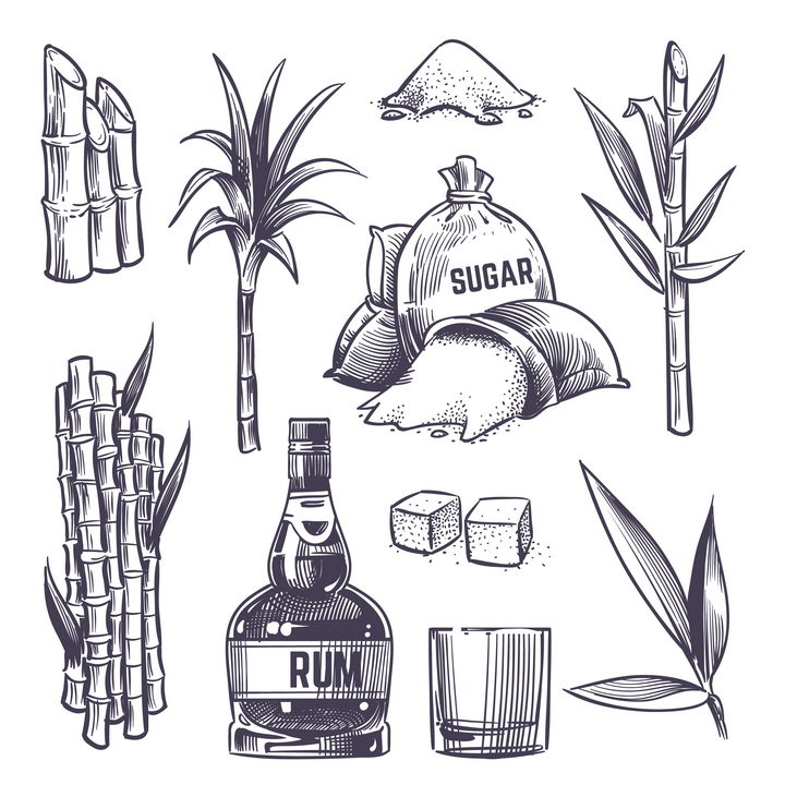 各种手绘素描风格的制糖工业甘蔗等图片免抠素材