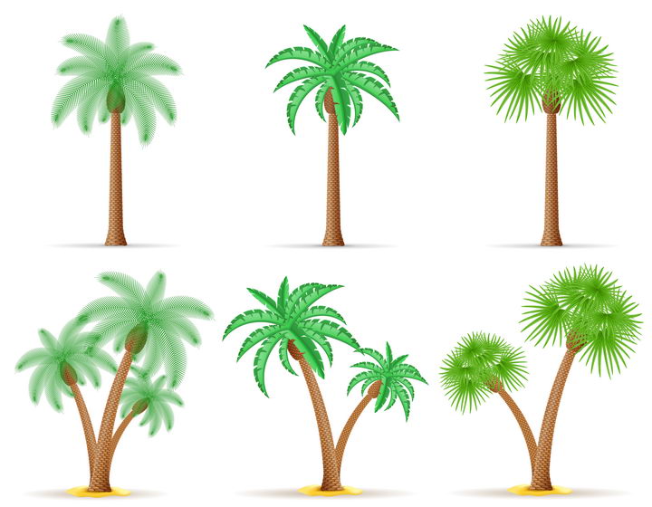 6款不同风格的热带树木椰子树免抠矢量图片素材