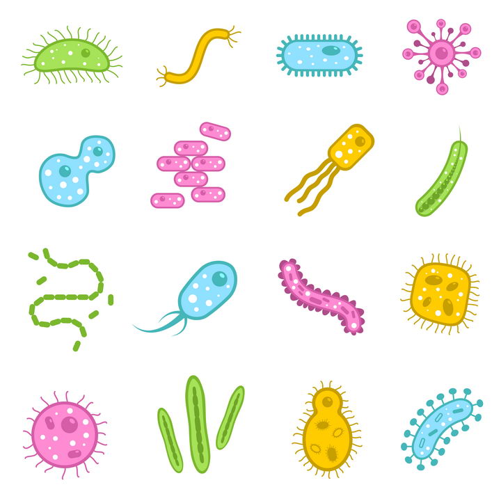 16款卡通风格的细菌单细胞动物植物等微生物图片免抠素材 设计盒子