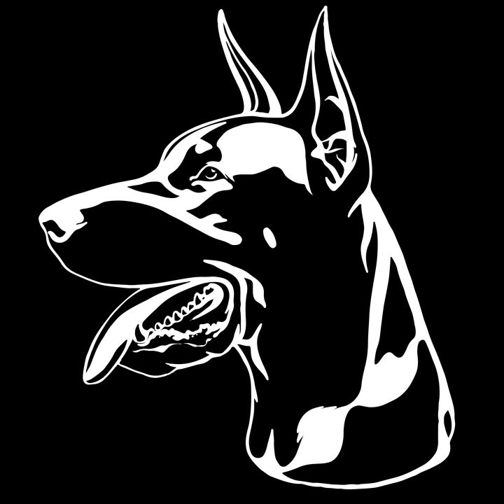 黑白画风格宠物狗狗品种杜宾犬图片免抠素材 生物自然-第1张
