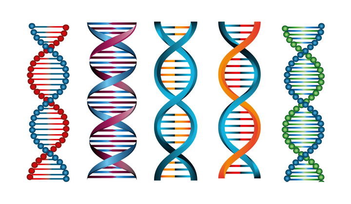 5种不同风格的脱氧核糖核酸DNA双螺旋结构中学生物教学图片免抠矢量素材 科学地理-第1张