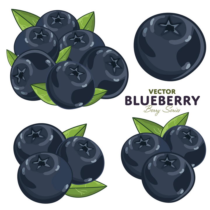 4款手绘风格蓝莓浆果美味水果图片免抠矢量素材 生活素材-第1张