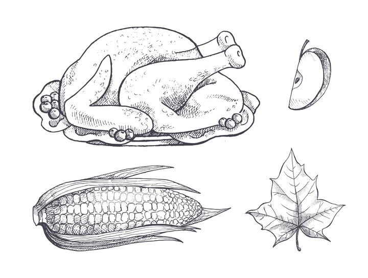 手绘素描风格烧鸡火鸡苹果玉米等美食和枫叶图片免抠矢量素材 生活素材-第1张