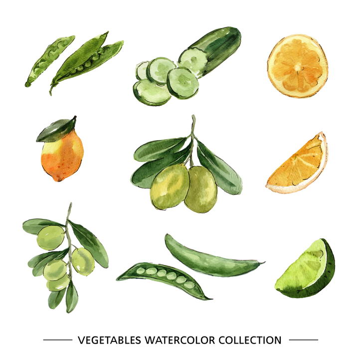 水彩画风格豌豆黄瓜柠檬橄榄等蔬菜图片免抠矢量素材 生活素材-第1张