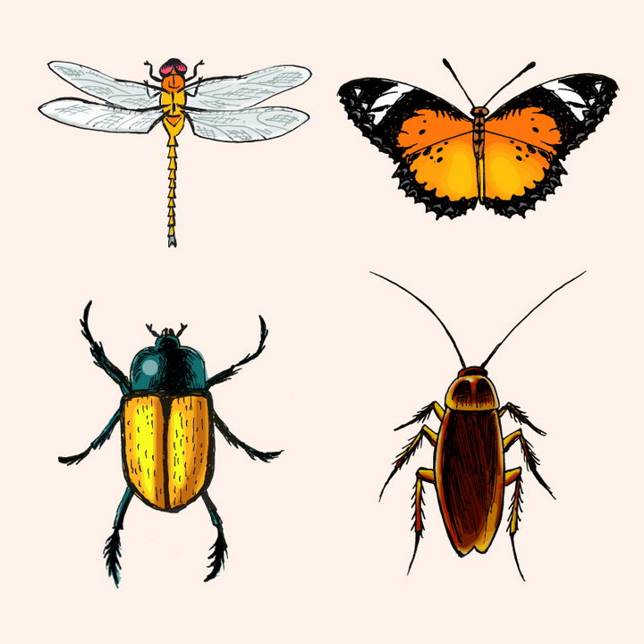 水彩画风格蜻蜓蝴蝶甲壳虫和蟑螂等昆虫图片免抠矢量素材 生物自然-第1张