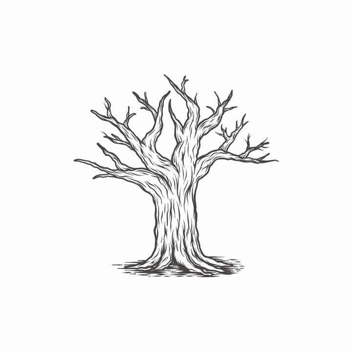 枯树画法简单图片