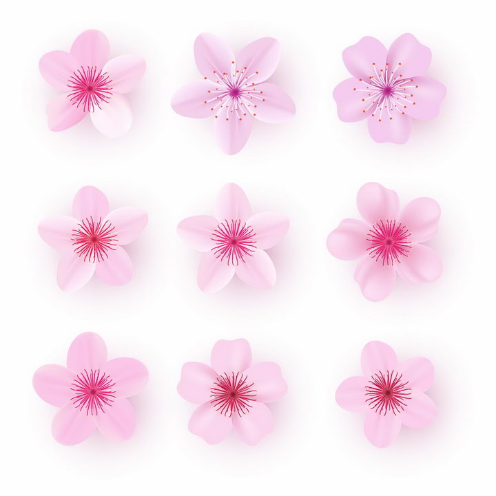 9款粉红色的桃花花朵花瓣png图片免抠矢量素材 生物自然-第1张