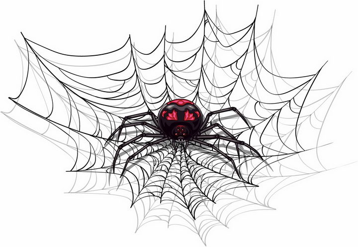 漫画风格蜘蛛网上的一只有毒蜘蛛png图片免抠矢量素材 生物自然-第1张