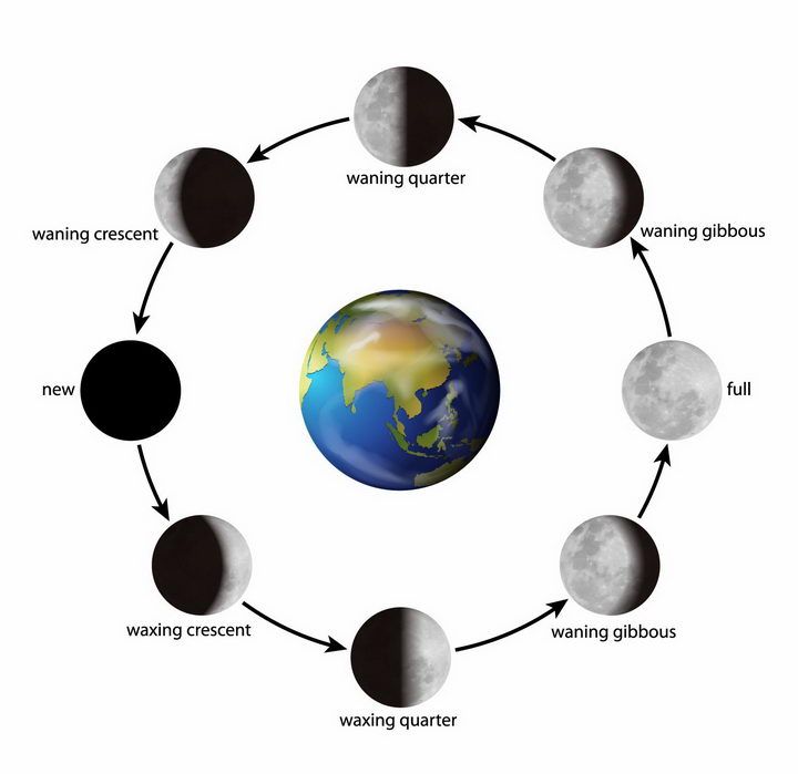 逼真的环绕地球的月相变化图月球月亮明暗交替png图片免抠矢量素材 科学地理-第1张