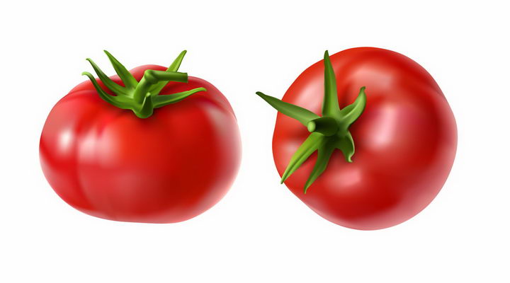 两个鲜红的西红柿番茄美味蔬菜png图片免抠eps矢量素材