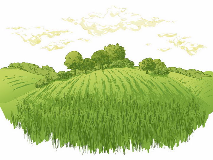 彩绘风格乡村绿色麦田和远处的树林风景图png图片免抠矢量素材 插画-第1张