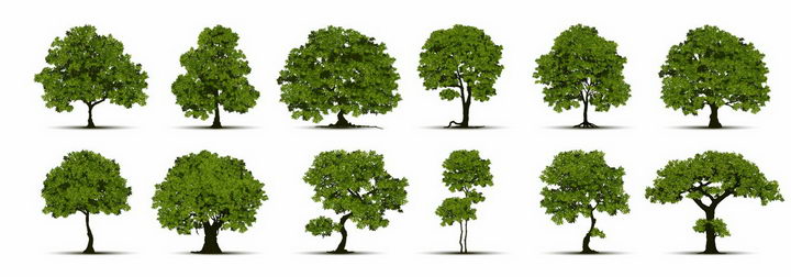 12棵各种形状的景观大树树木绿树盆景树png图片免抠矢量素材 生物自然-第1张