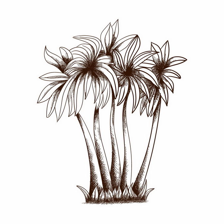 手绘素描风格椰子树风景图png图片免抠矢量素材