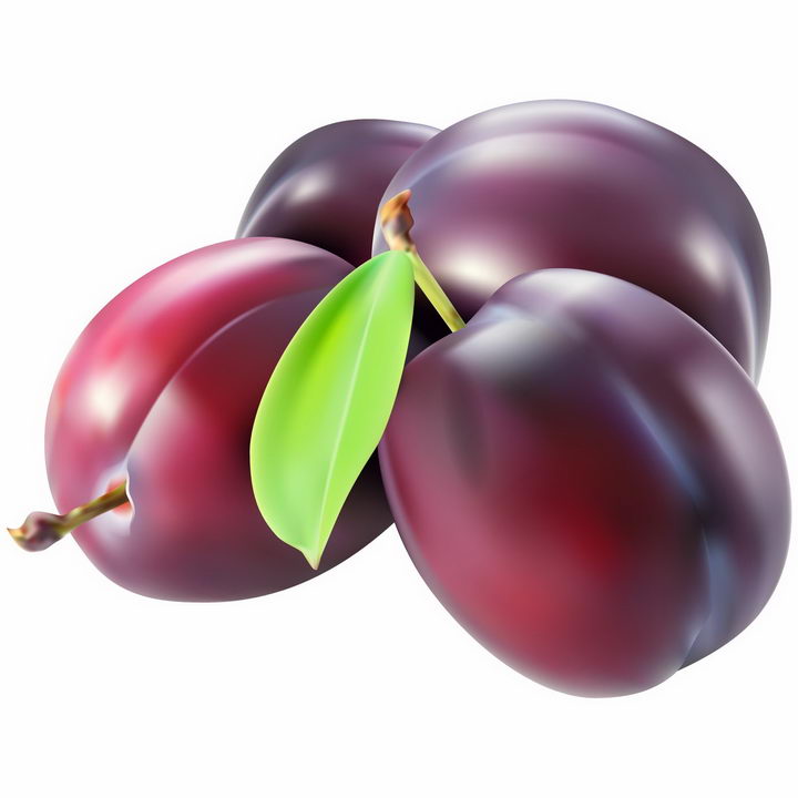 美味的李子紫色水果png图片免抠ai矢量素材 生活素材-第1张