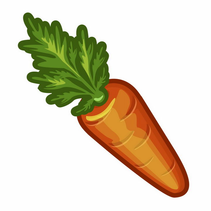 一根胡萝卜带叶子美味蔬菜png图片免抠矢量素材 生活素材-第1张