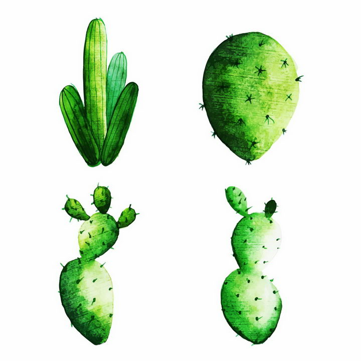 彩绘风格的仙人掌仙人棒绿色植物png图片免抠EPS矢量素材 生物自然-第1张