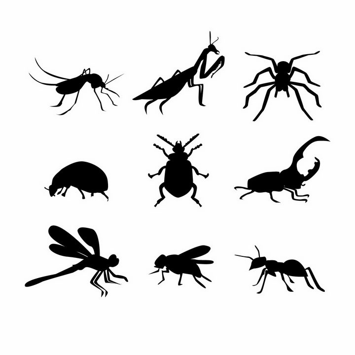 蚊子螳螂蜘蛛甲虫独角仙蜻蜓苍蝇蚂蚁等昆虫虫子剪影png图片免抠矢量素材 生物自然-第1张