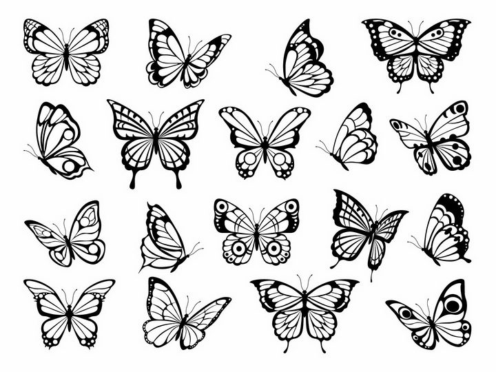 各种黑白色蝴蝶图案png图片免抠矢量素材 设计盒子