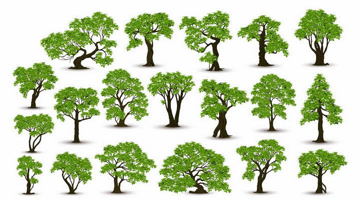 19款各种形状的郁郁葱葱的大树树木绿树成荫盆景树png图片免抠矢量素材 生物自然-第1张