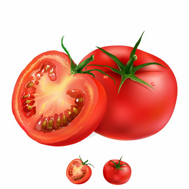 番茄横切面结构图图片